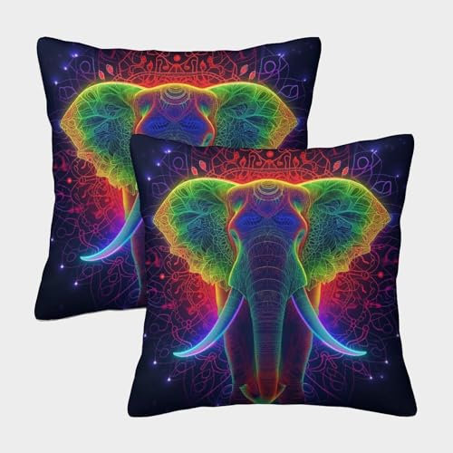 VesFy Bunter Elefant Wurfkissenbezug 2er-Set Kissenhüllen Mit Unsichtbarem Reißverschluss Kissen Fall Tier Weiche Quadratische Kissenbezüge Für Sofa Couch Schlafzimmer 45x45cm