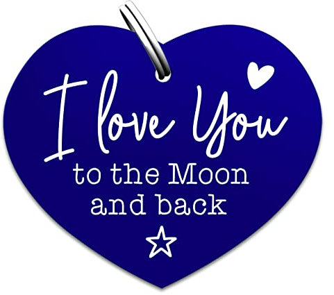 Soulhorse Marke Pferd Pony Hunde Glücksmarke Pferdemarke Gücksbringer Schutzengel Sattel Herz Trense Zaumzeug Vorderzeug Schlüsselanhänger Talisman Tiere Menschen I Love You to The Moon and Back