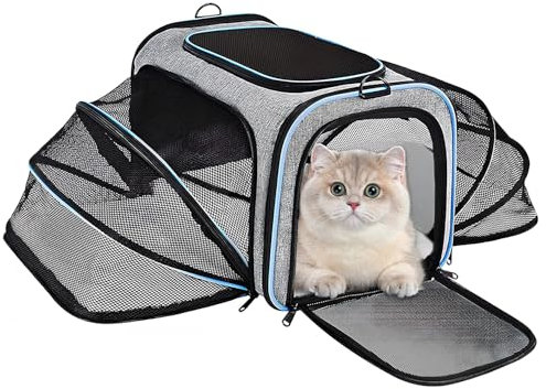 Transportbox Katze,Faltbarer Transporttasche Katze und Hund,Atmungsaktive und Faltbare Hundebox,Katzentransportkäfig mit Abnehmbarer Plüschmatratze,Erweiterbar Katzenbox für 2 Katzen Hund Welpen