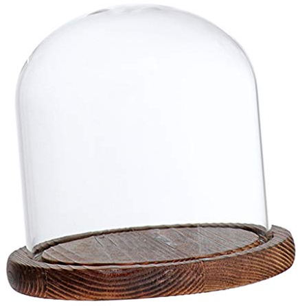 HomeDecTime Blumentopf aus Glas, transparent, glockenförmig, braun E