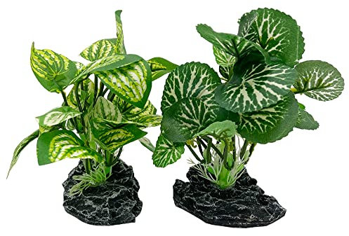 Smoothedo-Pets Aquarium Plants Fish Tank Decorations 4inch/Small Size Plastic Artificial Plant Goldfish Waterscape Fish Hides snake tank/Reptiles plants (Green-A+B)