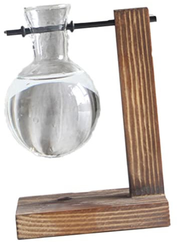 MILISTEN 1stk Hydrokultur-glasvase Dekorative Glasvase Pflanzgefäße Aus Glas Für Zimmerpflanzen Wasservase Desktop-vase- Vermehrungsvase Wasserpflanzer Pflanzenterrarium Hölzern