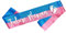 OLILLY Echarpe Bi Colore Future Maman pour Gender Reveal Baby Shower (Rose et Bleu)