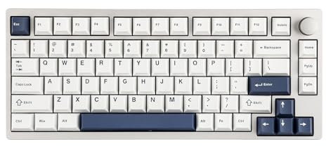 EPOMAKER P75 Aluminium Mechanische Tastatur Kabellos, Thocky Gasket Hot-Swap Gaming-Tastatur RGB, Bluetooth 5.0/2,4 GHz/USB-C,für PC/Laptop/PS/Xbox (Silber Weiß, Wisteria Linear Switch)