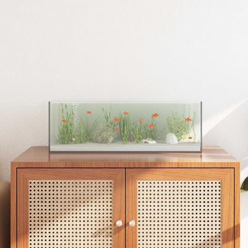 ChicAbode Aquarium mit Speicher Transparent 60 x 20 x 20 cm Glas