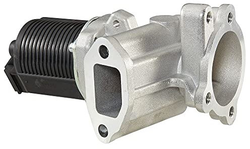 HELLA 6NU 010 171-421 AGR-Ventil - elektronisch - 2-polig - mit Dichtungen