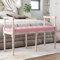 Coavain Massivholz Schuhbank Sitzbank Moderne Aufbewahrungsbank Luxus Schlafzimmerbank Polsterbank Sofabank Fußhocker Großraum-Fußstützenhocker Fußstütze Sitz Rosa 110x40x70 cm