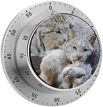 Canadian Lynx Clean Time - Temporizadores mecánicos de cocina para cocinar con cuenta regresiva y temporizador magnético para hornear y hacer ejercicio