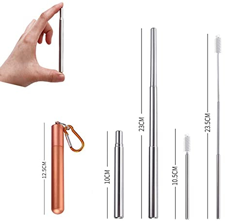 APIKA Pailles télescopiques réutilisables - Pailles à Boire Portables en Acier Inoxydable avec Brosse de Nettoyage, étui et Mousqueton(Or Rose)