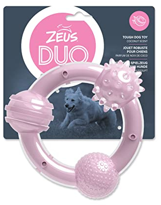 Zeus Duo Kauspielzeug