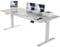 Devoko Electric Standing Desk 160x70cm, Height Adjustable Desk Ergonomic Stand up Table with 2 Memory Preset, Grey