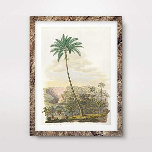TROPICAL PALM TREE LANDSCAPE SCENE ILLUSTRATION PAINTING ART PRINT Poster Home Decor Wall Picture A4 A3 A2 (10 Size Options)