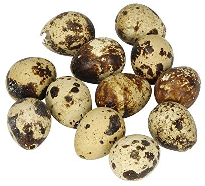 RiloStore 36 STK Wachteleier Natur ausgeblasen Naturdeko Landhaus Osterschmuck Basteln Kindergarten Ostern Deko Eier Wachteln Dekoeier Osterdeko