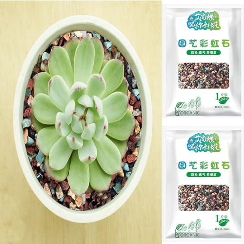 1Kg Natur Vulkangestein Für Blumentopf Dekosteine - Bonsai Kieselsteine - Lavamulch Lavagranulat - Pflanztöpfe Topping Deko Blumenerde Drainage Substrat | Für Garten Sukkulenten Kakteen