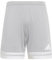 adidas Herren SQUADRA25 Short, Team Light Grey/White, XL