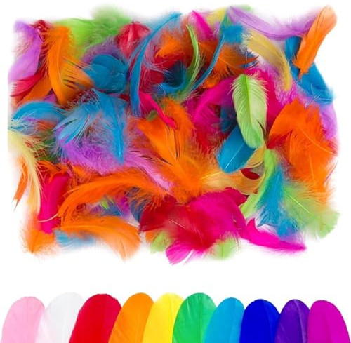 200 Stück Federn zum Basteln Bunte Federn Natürliche Feder DIY Handwerk Schulhandwerk Kopfschmuck Kinder 6-12cm Feder Deko für DIY Ohrring, Hochzeit, Traumfänger, Kopfschmucksfedern, Schulhandwerk