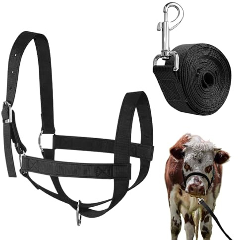 Cavezza Per Bovini - Capezza Per Vitelli con Guinzaglio | Attrezzo Regolabile per Addestramento di Animali di Piccola Taglia Cavallo Agnello Capra Pecora - Forniture Zootecniche per