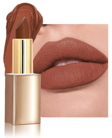 Orange Matte Lipstick,Brown Velvet High Pigment Lip Tint Stain Long Lasting | Waterproof Cream Lip Gloss, Non-Stick Cup Smooth Tinted Lip Balm, Thanksgiving Christmas Lips Professional Makeup for Women