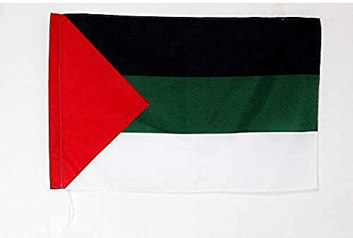 AZ FLAG - Flagge Arabischen Nationalismus - 90x60 cm - Panarabismus Fahne 60 x 90 Cm Scheide Für Mast - Flaggen