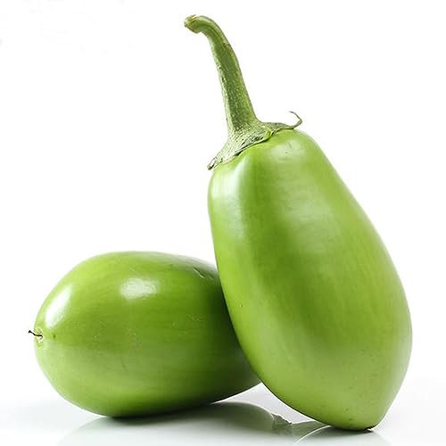 100 Stück grüne Auberginensamen, nahrhafter Gemüsegarten, Hof, Balkon, zum Pflanzen von Getreidesamen, Farnsamen, Blumensamen, Obstsamen, Grassamen, Baumsamen, Gemüsesamen Auberginensamen