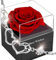 Rose Éternelle Stabilisée,Boîte de Roses Préservée, Conservée Vraie Rose Fleurs,Romantiques Cadeau pour Elle La Noël La Saint-Valentin Fête Des Mères Anniversaire Fiançailles Marier Gratitude