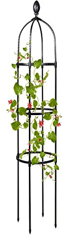 Baumkranz für Kletterpflanzen - stabile und gespleißte Ausführung - ideal für Rosen, Clematis und Jasmin in Töpfen oder Gärten