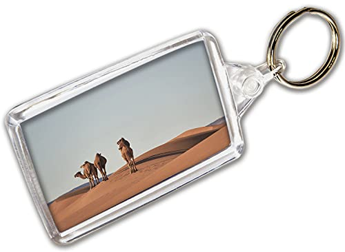 AK Giftshop Kamel-Schlüsselanhänger, Foto-Schlüsselanhänger, Schlüsselanhänger, 50mm x 35mm