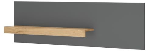 Lomadox Wandpaneel Wandregal, anthrazit mit Eiche, B/H/T ca. 140/40/17 cm