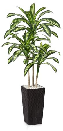 Fopamtri Artificial Dracaena Tree Decorative Plant 180 cm Artificial Plants Indoor, Tropical Fake Plant with Brown Tall Planter UV Resistant for Outdoor House Office Garden Decoration (1 Pack)