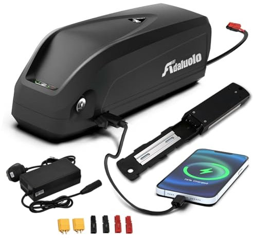 Adaluolo 48V Ebike Akku 13AH Hailong Ebike Batterie Elektrofahrrad Lithium-Ionen Fahrrad Batterien mit Ladegerät, USB-Anschluss, 5 Pin Grundplatte für 500W 750W 1000W Motor