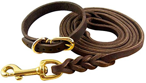 1.6M Hundeleine und Halsband Echtleder Hundführleine Geflochten Haustier Schleppleine Lederleine Hundehalsband Halskette Martingal Dog Leash Collar Welpen Klein Mittlere Hunde (Geflochten, M)
