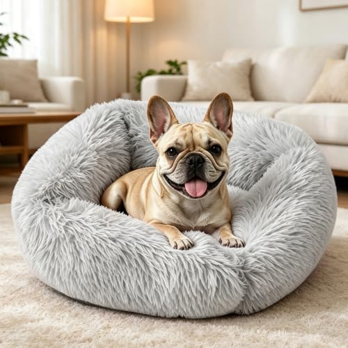 PETCUTE Katzenbett,Plüsch Haustierbett für Katzen und Hunde,Warme Weiche Bequeme Hundebett Flauschig,Waschbar Katzenschlafplatz,für Kleine,Mittelgroße und Große Katzen, Hunde und Andere Haustiere,M