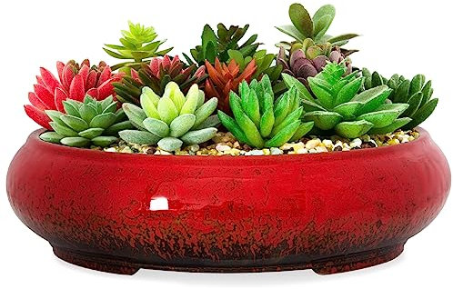 ARTKETTY Pots pour plantes grasses – Pots à bonsaï en céramique de 29,8 cm avec drainage, grands pots peu profonds pour plantes grasses d'intérieur et d'extérieur, cactus ronds émaillés pour