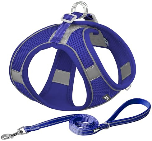 AIITLE Harnais anti-traction pour chien et chat avec laisse, gilet réfléchissant réglable, harnais anti-fugue pour promenade en plein air, course à pied, dressage pour chiens de très petite taille et