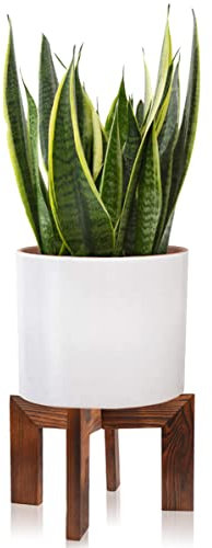 Wood Plant Stand, Mid Century Modern Planter Stand Rattan Flower Pot Stand, Low Short Plant Stands Indoor - Boho Rustic Wooden Stool for Plant Pot Holder, Fit 5-15 Inch Pot