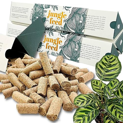 Lot x4 Stick, Engrais Complet Universel pour Plantes Intérieur, Plantes Extérieur, Engrais pour Balcon, Plantes Fleuries et Légumes, Fertilisant Naturel Bio, Engrais Plantes Vertes, Kit 4 saisons