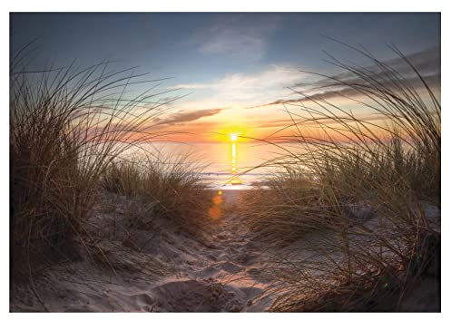WallArena - Vlies Fototapete Strand 3D Meer Ostsee Natur Sonnenuntergang Gras 368x254 cm - Fototapeten - Tapeten - für Wohnzimmer Schlafzimmer - Vliestapete Wandtapete Tapete 3D Effekt- inkl. Kleister