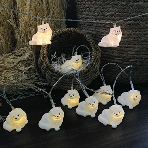 Riaxuebiy Niedlich Katze-Lichterkette, 3 m 20 LED Katze-Lichterkette, USB-betrieben, dekorativ für Innen- und Außenbereich, Schlafzimmer, Hochzeit, Party (3m/20led, Katze)