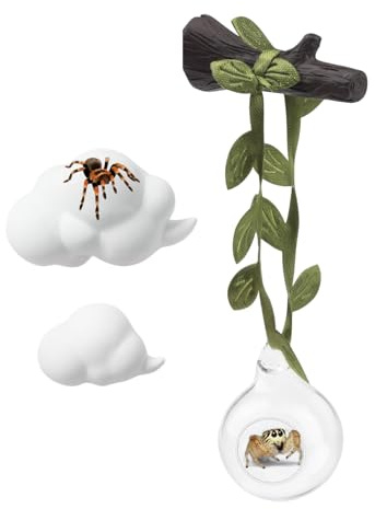 Springspinnen Terrarium Zubehör,Durchsichtige Kugel Sitzstange | Springspinne Simse Mit Seil - Zur Beobachtung Von Reptilien Und Kleintieren Für Zuhause Klassenzimmer Hobbyisten Und Anfänger
