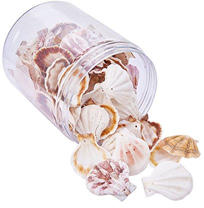 PH PandaHall 50-70pcs Pets coquillages aux pétoncles Coquillages de palourdes océaniques Pétoncle artisanal naturel avec trou pour bougie, décoration de la maison, décoration de mariage de fête