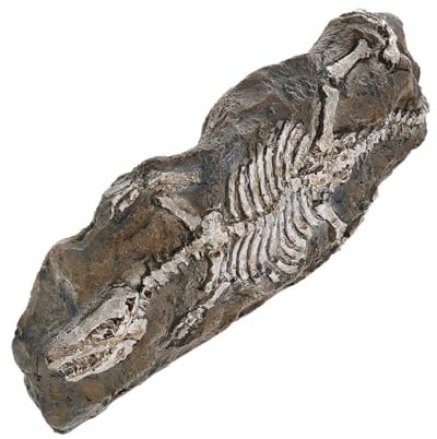 Sosoport Aquarium-Dinosaurier-Dekoration Aquarium-Ornament Aus Kunstharz Dino-statuen Für Aquarium-Dekorationen