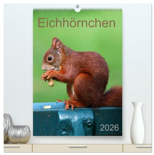 Eichhörnchen (hochwertiger Premium Wandkalender 2026 DIN A2 hoch), Kunstdruck in Hochglanz: Nussknacker (CALVENDO Tiere)