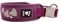 Hurtta Weekend Warrior Hundehalsband, Johannisbeere, 25,4–35,6 cm