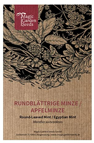 Menta de hoja redonda (Mentha suaveolens) - aprox. 1000 semillas
