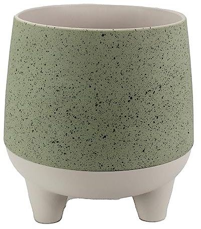 The HC Companies Jardinière, Sauge, 20,3 cm