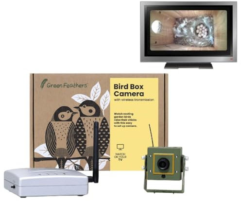 Green Feathers Wildlife Wireless Bird Box 700 TVL Camera, Wireless Receiver, Watch Birds on your TV, No Internet Required- Camera Only