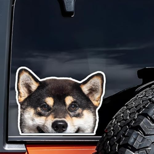 2pcs 15x11cm Peeking Black Tan Shiba Inu Vinyl Autoaufkleber, Japanischer Hund Aufkleber für LKW, Laptop, Heck * * * * * * *, Loyal Pet Decor |# DK304