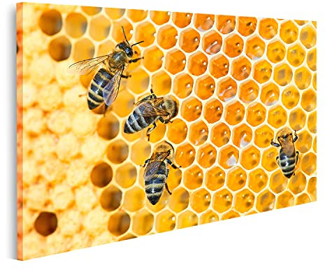 islandburner Bild auf Leinwand Bienenstock Honigwaben Honig Bienen Sommer Imker Leinwandbild Poster Wandbild Bilder