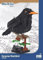 BlueBrixx Pro 107675 – Amsel aus Klemmbausteinen mit 308 Bauelementen