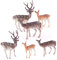 Figurines de Cerf Sika 6pcs Animaux Réalistes de Forêt pour Noël Éducatifs Gâteaux Anniversaire Décorations Enfants Miniatures Créatures de Forêt Ensemble de Jeu Fête